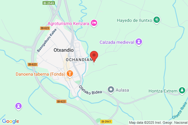 Ayuntamiento De Otxandio (Colegio Público)