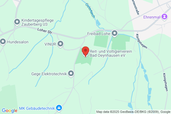 Gomez Viguera g.