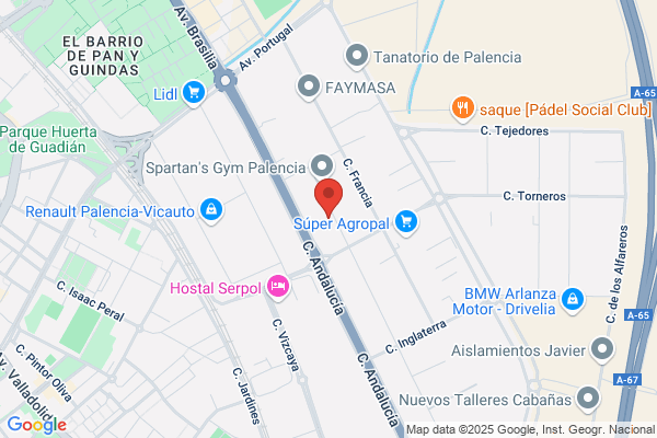 Automigon Palencia