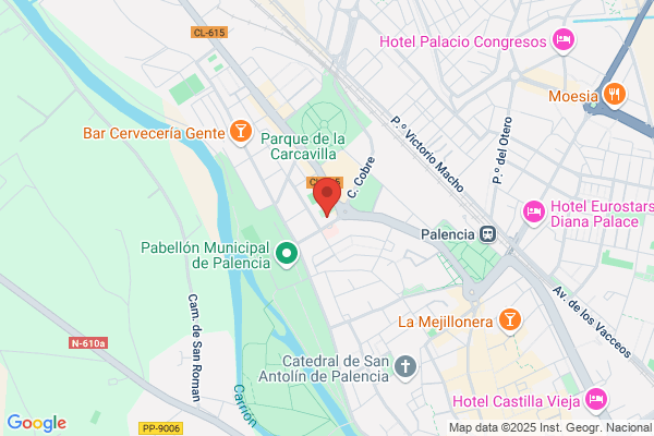 Club De Futbol Palencia