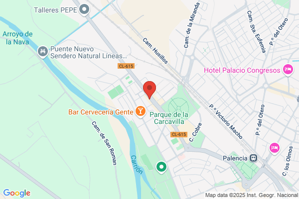 La Palentina S.A.