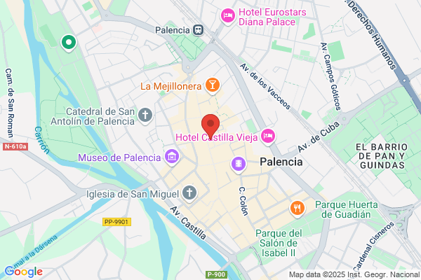 Palencial Real Estate S.L.