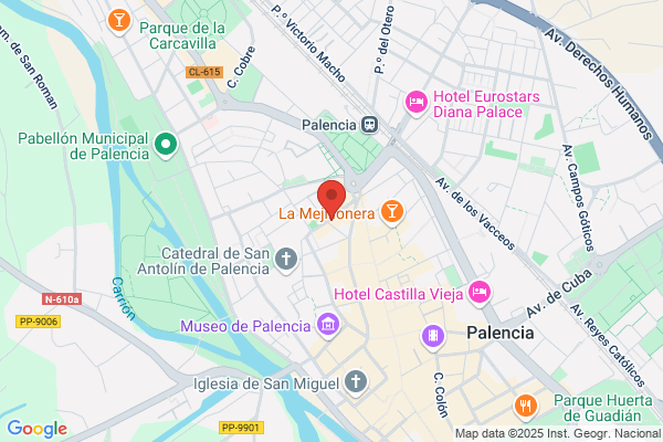 Datos Palencia 2000 S.L.