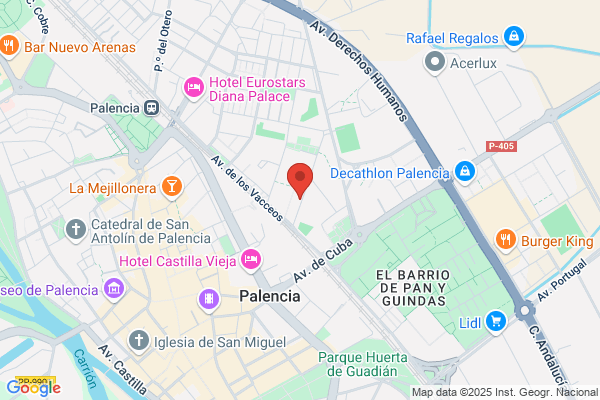 Peluqueria Recogidos