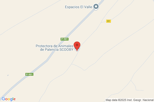Asociacion Protectora Amigos De Los Animales