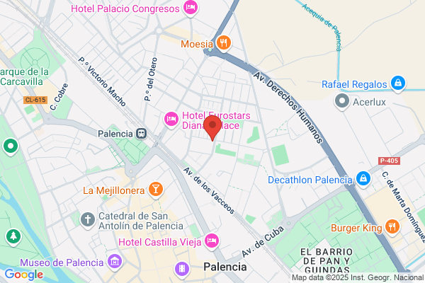 Cambridge School Palencia