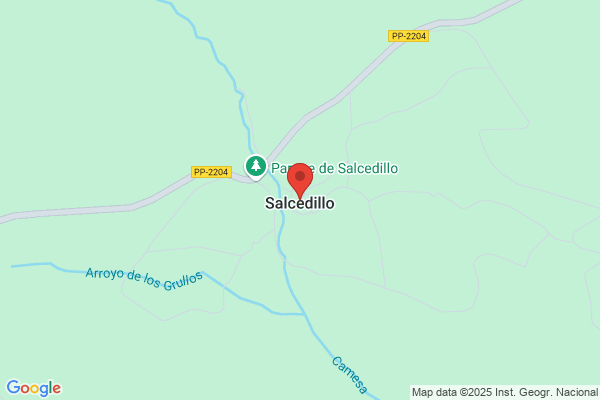 Centro Salcedillo S.L.