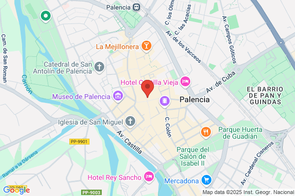 Escuela Superior De Turismo De Palencia S.L.