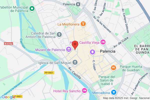 Nueva Academia Newton S.A.
