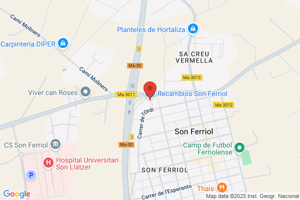 Recambíos Son Ferriol