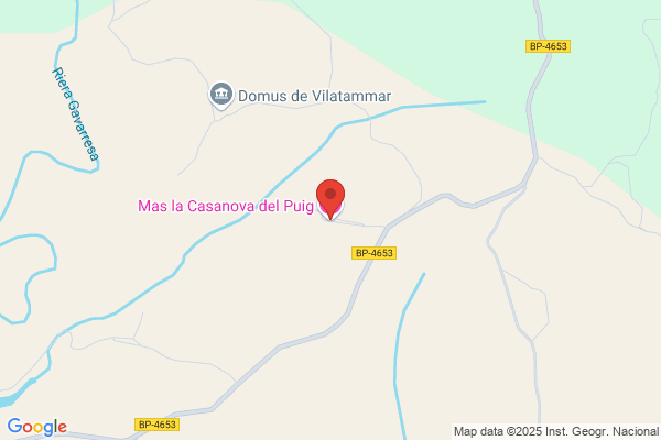 Casasnovas Puig j.