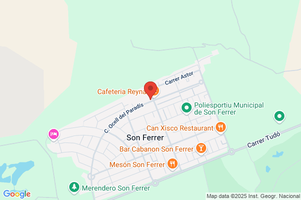 Massague Ferrer r.