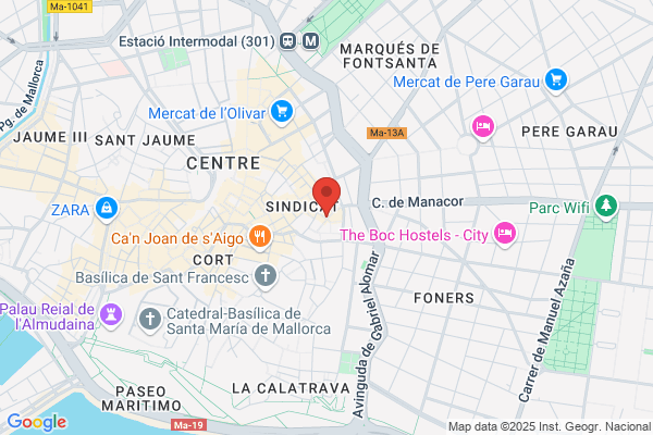 Paseador de perros