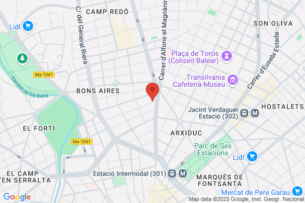 Carniceria A. Vicens
