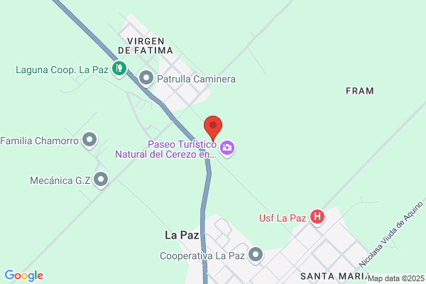 Cerezo De La Paz m. P.