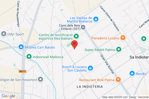 Cobra Instalaciones Y Servicios S.A.