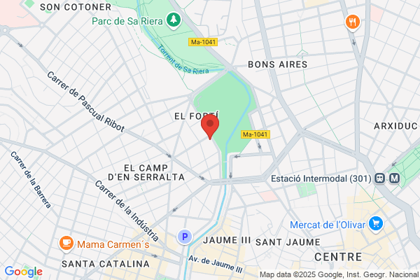 Palma Elevadores S. A.