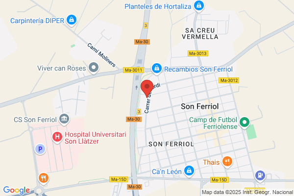 Centro De Psicomotricidad Son Ferriol