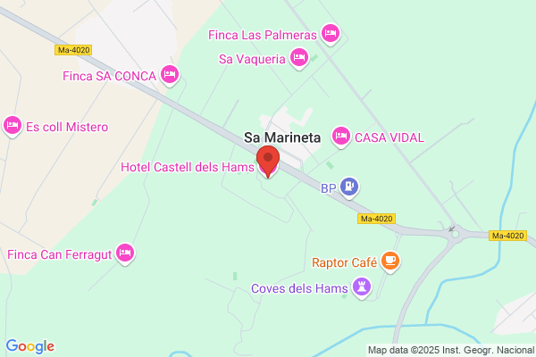 Hotel Castell Dels Hams S. A.