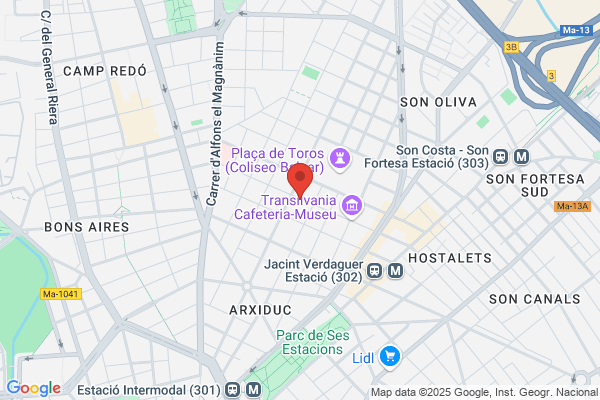 Noguera vda.De