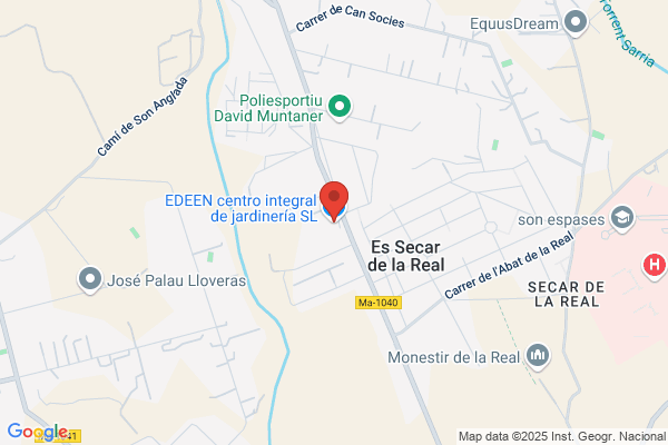 Ledesma Plantas Y Jardines S.L.