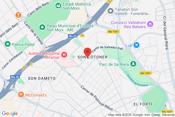 Pizza Rapid-Servicio A Domicilio
