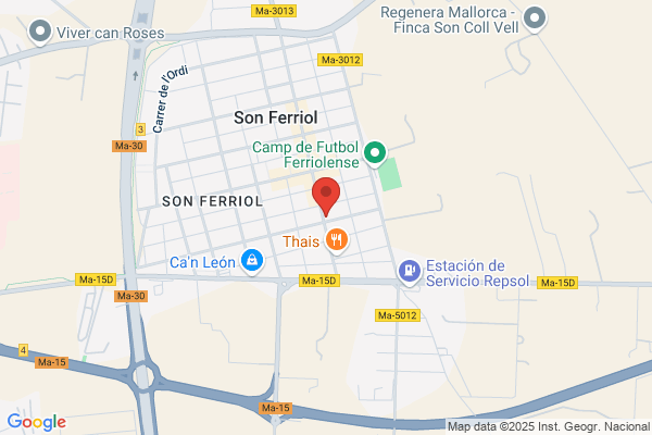 Tintoreria Son Ferriol S.L.