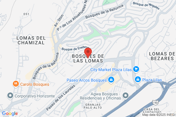 Muñoz Bosques j.