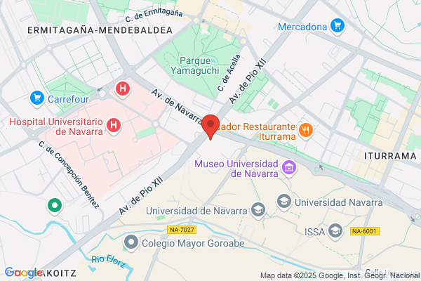 Instituto De Servicios Integrales De Navarra