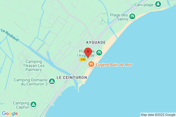 Jaime Ayguade Ayguade