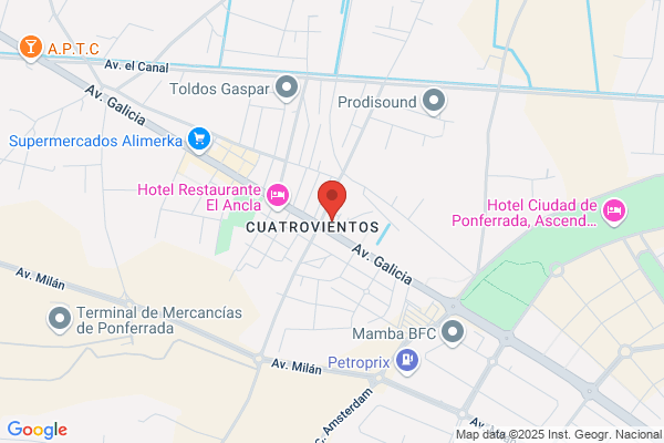 NEGOCIO PRINCIPAL - NEUMATICOS HERMANOS PE?A S.A