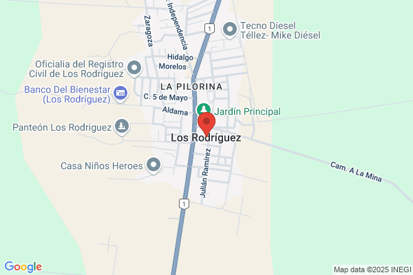 Rodriguez San Miguel j. F.