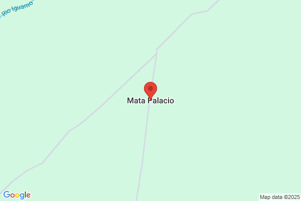 Mato Del Palacio a.