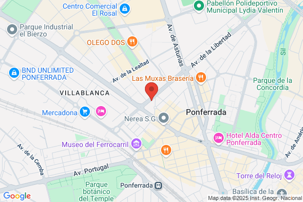 Servicios De Peluqueria S.L.