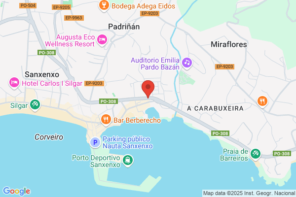 Sindicato Profesional De Musicos Españoles