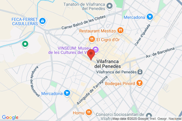 Acadèmia d'Informática Elpa