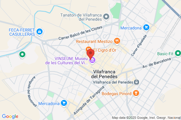 Anfi Vilafranca S.L.