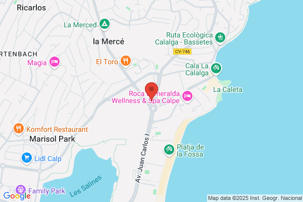 CARLOS BAS CALPE