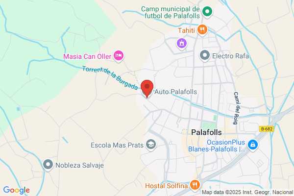 Auto Palafolls S.L.