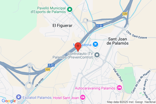Valls Puig s.