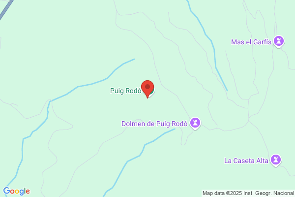 Roig Puig m.