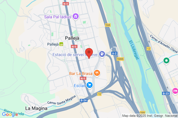Centro Odontologico Palleja S.L.