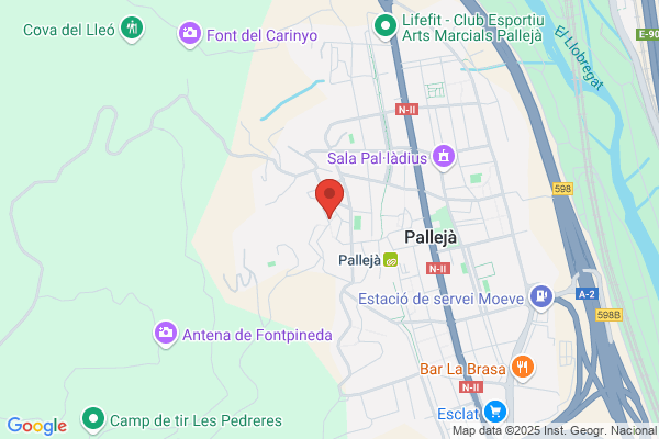 Residencia Palleja S.L.