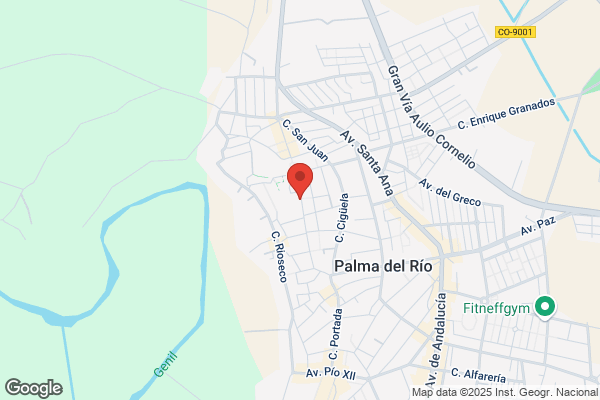 Hostal Las Palmeras