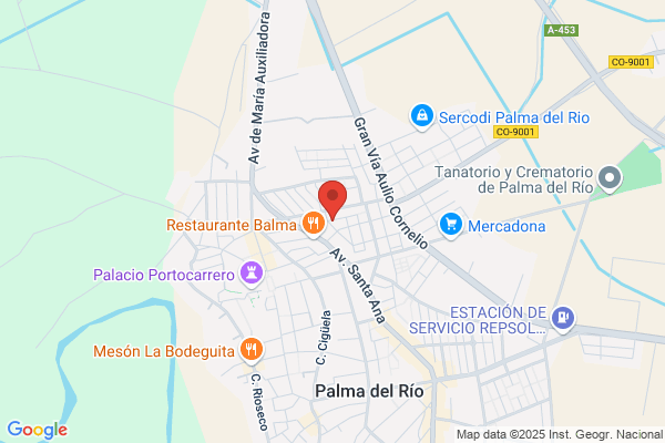 Estacion De Servicio Palma Del Rio S.L.