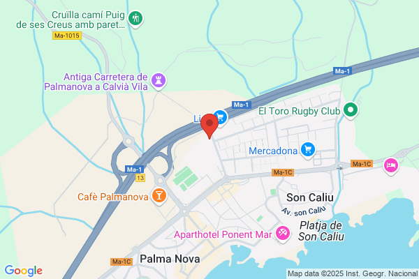 PMAX ONLINE SL