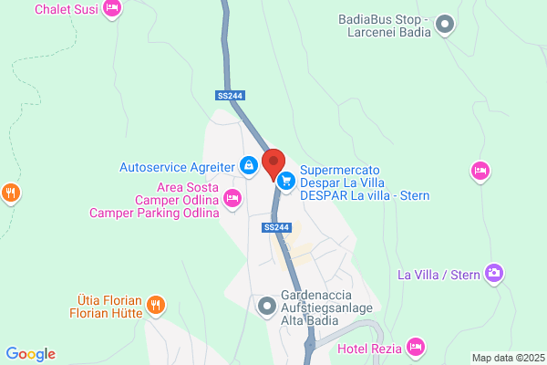 Badia Electronica