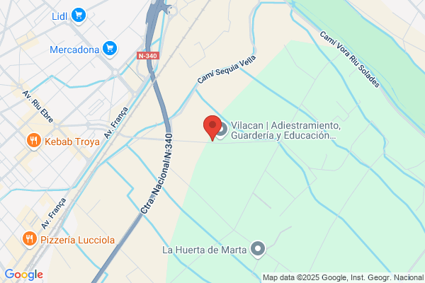 Centro Canino Vilareal