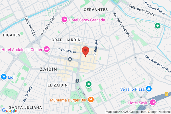 Agente P. Inmobiliaria Navarro