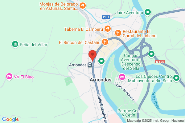 Centro Veterinario Bulnes